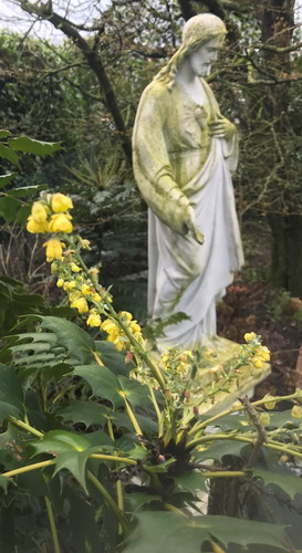 Foto aus dem Garten mit der Mahonie Wintersun vor einer Herz-Jesu-Figur.